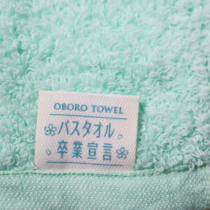 oX^I Ɛ錾y2Zbgz  O^I OtFCX^I oX^I {^I ڂ^I 33×100cm { 100 Rbg100 z͖6{ z^I oX