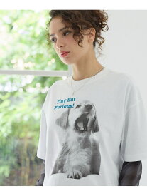 【SALE／35%OFF】【PBLIM】シャウトアニマルT PAGEBOYLIM ページボーイ トップス カットソー・Tシャツ ホワイト グレー【RBA_E】[Rakuten Fashion]