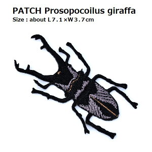 by Mt@mRMNK^ S7.1×ő剡3.7cmO shJby ACby AbvP by j̎qbyt