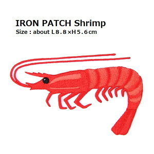 by CVi Grj 傫TCY S8.8×̍5.6cmO shJby ACby AbvP C̐t