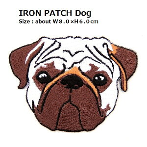 by i Ckj pO 傫TCY ő剡8.0×6.0cmO shJby ACby AbvP byfR l qt