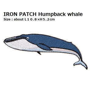 傫by UgENW S10.8×̍5.2cmO shJby ACby AbvP ̃byt