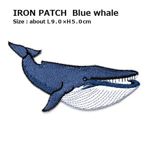 傫by ViKXNW S9.0×̍5.0cmO shJby ACby AbvP ̃byt