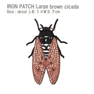 by Au[~ S6.1×ő剡3.7cmO shJby ACby AbvP by j̎qbyt