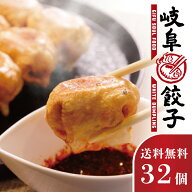 岐阜餃子 32個(16個×2包) 冷凍 生餃子 飛騨豚 ホワイト餃子 国産 豚100% 岐阜県産 焼餃子 水餃子 パオチ…