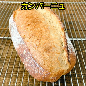 C p Jp[j Y ۑ sgp H H [H [jO ` fBi[  Mtg v[g yY yY   Ƃ ׂ₷ lC L