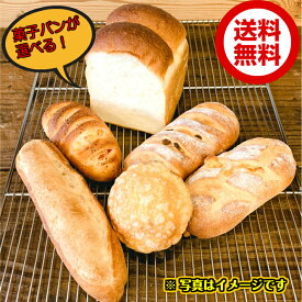 お試し パン 詰め合わせ もちもち セット 無添加 保存料 不使用 人気 ギフト おいしい 食パン レーズン チーズ ブレッド バタール ハーフ メロンパン あんパン ガーリック 明太子 フィセル くるみ ライ麦 ベーコン 【送料無料】クール便代込