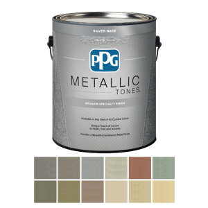 ^bNg[ Vo[x[X j[g 3.8L/20āi2hj1t  h yL AJ Ah ppgpaint METALLIC TONES Interior silver@ǁ@ׁ@