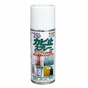 AgnEXyCgю~߃Xv[@300ML