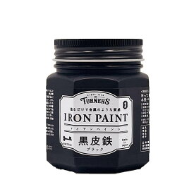 ターナー色彩アイアンペイント　200ML　黒皮鉄ブラック