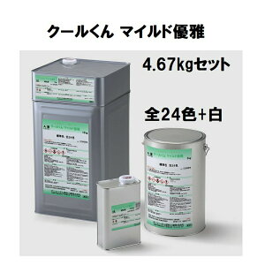 IG^h N[ }ChD 4.67kgZbg S24F{ ՔM