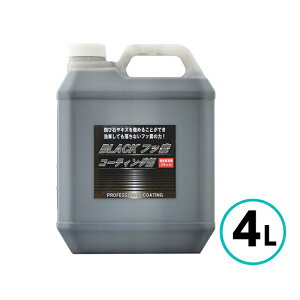 NX^vZX ubNtbfR[eBO 4L CLY ѐ C   oCN F RpEh 