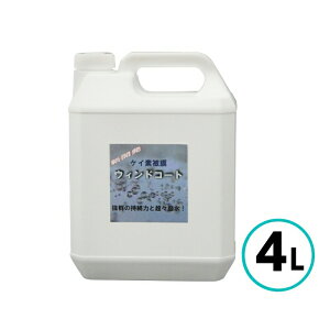 NX^vZX PCf햌EBhR[g 4L  tgKX  