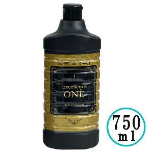 GNZX 1 ONE RpEh I[grWlX mVR mbNX     ڏ ԕC