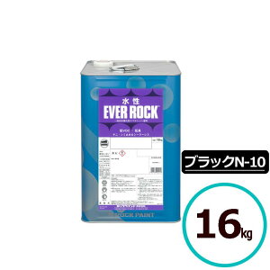 bNyCg Go[bN ubN N-10 (ۂN-20x̔Z) 16kg h     Z  X 