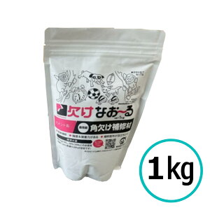 Zgn\pC Ȃ[ 1kg RN[g ^ ALC ߖ߂ q[ Ua Jo[g CA pC cl~