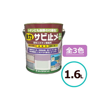 bNyCg ̓Tr~ 1.6L h ю~ Tr~ S