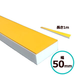 �d�グ�o�b�J�[ �I�����W �� ��50mm×����22mm ×����1000mm �Ȃ炵�o�b�J�[ �V�[�����O �R�[�L���O �̂�Ȃ�