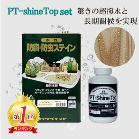 ＼ランキング1位受賞／ 水性ナフタデコール 木目 超撥水 PT-Shine Top セット シャイントップ 木部 防腐剤 屋外 耐久性 木材防腐剤 防カビ剤 ステイン塗料 木材ペイント クリア 木 塗料 塗装 4L＋1kg 木材 防腐 防虫 ステイン ロックペイント 屋外 透明 撥水コーティング