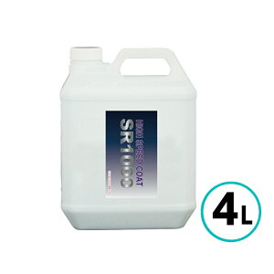 NX^vZX SR-1000 4L LY R[eBO C LY   oCN LY 