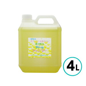 NX^vZX RRN[Vv[ 4L A A؂ Q     oCN