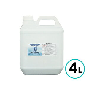 NX^vZX @sv eVv[ 4L     oCN