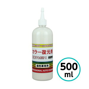 NX^vZX@J[ (ubN ZFԐp) 500ml RpEh  C LY   oCN