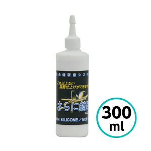 NX^vZX ɋ 300ml ɍז q ŏIdグ RpEh mVR mIC otLY ZF   oCN 