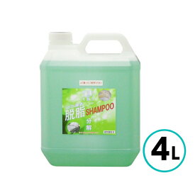 クリスタルプロセス シリコン除去脱脂シャンプー 4L 油分 古いワックス シリコン分 分解 脱脂 洗車 親水 クリーナー 酸性 車 自動車 バイク