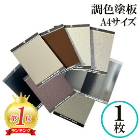 ロックペイント 調色塗板 見本板 日塗工 塗り板 塗装 A4チップボール板