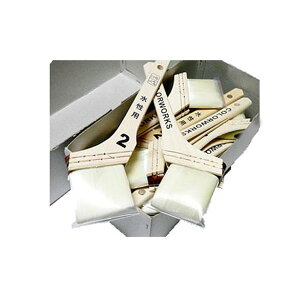 y  zy1P[X(12{)zJ[[NX2p 60mm(25) J[[NX hp