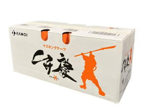 y  zٌc 18mm 1P[X(70) JH }XLOe[v