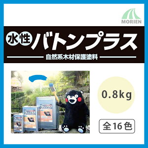 ogvX S16F 0.8kg(3`4ĕ) Jh  1t Oؕ