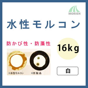 R  c 16kg(57`66ĕ) XYJt@C /h/h