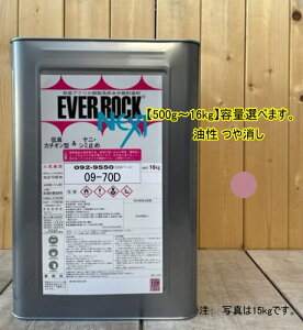 Go[bNlNXg yhH 09-70Dz}Z 10R7/2 0.5kg`16kg܂ŗeʑIׂ܂B yL LANh bNyCg