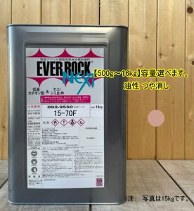 Go[bNlNXg yhH 15-70Fz}Z 5YR7/3 0.5kg`16kg܂ŗeʑIׂ܂B yL LANh bNyCg