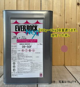 Go[bNlNXg y09-50Fz}Z 10R5/3 0.5kg`16kg܂ŗeʑIׂ܂B yL LANh bNyCg