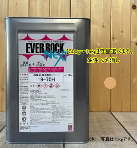 Go[bNlNXg y19-70Hz}Z 10YR7/4 0.5kg`16kg܂ŗeʑIׂ܂B yL LANh bNyCg