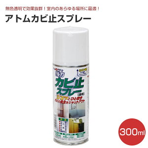 yX[p[Z[P10{z AgJr~Xv[ 300mliAgnEXyCg/AR[/Fj yVX[p[SALE