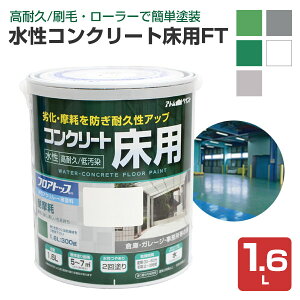 RN[gp FT 1.6L iAgnEXyCg/RN[gj