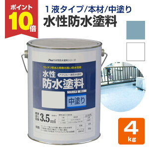 y10/30P10{z hh 4kg iAgnEXyCg/h/hށj