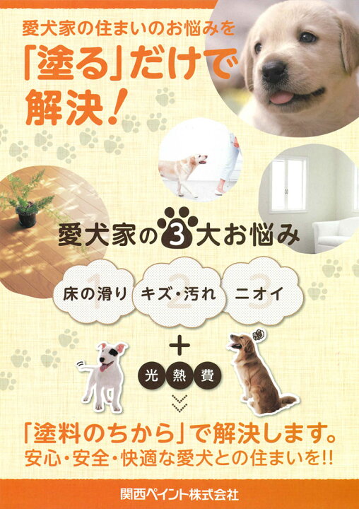 楽天市場】【愛犬家の床に】 AJパーフェクトコートセット 500ml ＜透明 