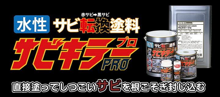 楽天市場】【期間限定P10倍！】 サビキラーPRO 200g/1kg ＜シルバー 