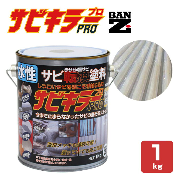 楽天市場】【期間限定P10倍！】 サビキラーPRO 200g/1kg ＜シルバー 