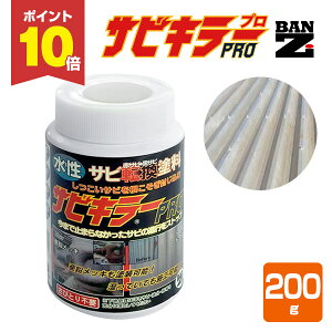 yP10{Iz TrL[PRO 200g Vo[ K]h Tr (Trɒړhł܂ K) TrL[v BAN-ZI oW