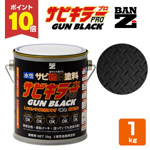 y11/10P10{z TrL[PRO GUN BLACK 1kg KubN K]h Tr (Trɒړhł܂ K) TrL[v KubN BAN-ZI oW