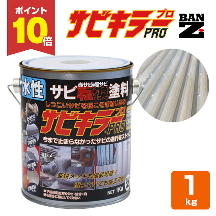 楽天市場】【期間限定P10倍！】 サビキラーPRO 1kg ＜シルバー＞ 水性 