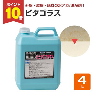 yX[p[Z[P10{z yOǓ̐Ɂz ~L s^SX 4L AJEꂶݐ (_ O R[LO   XeX A~) yVX[p[SALE