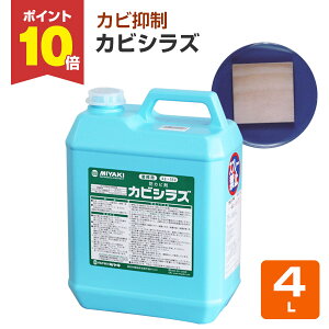 y11/10P10{z y؍ޓ̖hJr܁z ~L JrVY 4L ۑEOnEXȂǂ̃Jrh~ (   ^Cڒn RN[g)