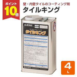 yX[p[Z[P10{z y^CpR[eBO܁z ~L ^CLO 4L OǁEǃ^C̃TrEAJEQEh~ (^C t^C) yVX[p[SALE